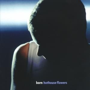 Learning To Walk - Hothouse Flowers