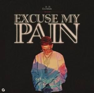 Excuse My Pain - J.I the Prince of N.Y