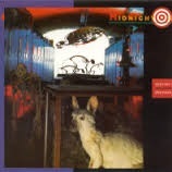 Blossom and Blood - Midnight Oil