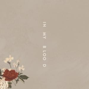 In My Blood (darksiide Remix) - Shawn Mendes