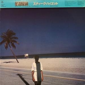 Roll Over, Beethoven - Steve Hiett