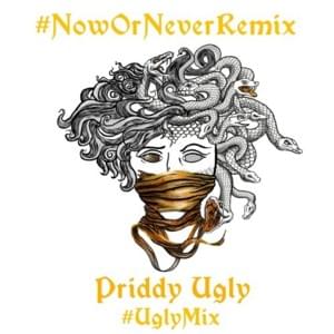 Now Or Never (The UglyMix) - Priddy Ugly