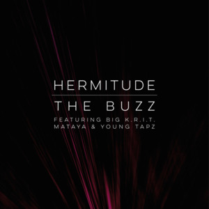 The Buzz [Remix] - Hermitude (Ft. Big K.R.I.T., Mataya & TAPZ)