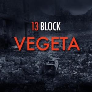 Vegeta - 13 Block