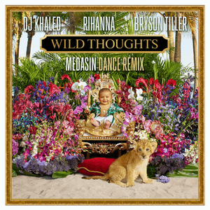 Wild Thoughts (Medasin Dance Remix) - DJ Khaled (Ft. Bryson Tiller & Rihanna)