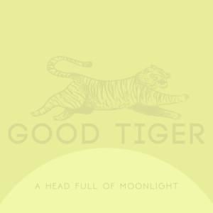 Understanding Silence - Good Tiger