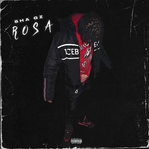 Rosa - Sha Gz