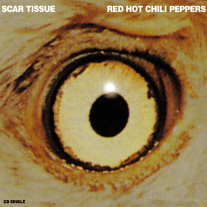 Scar Tissue - Red Hot Chili Peppers