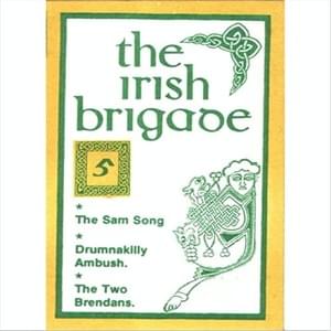 The Drumnakilly Ambush - The Irish Brigade