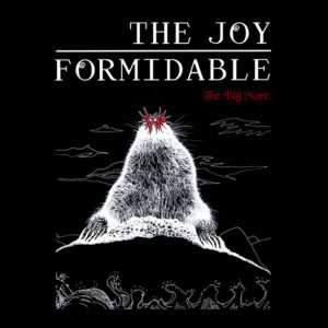 It’s over - The Joy Formidable