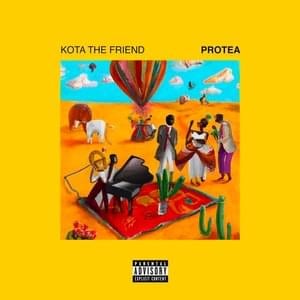 Protea - Kota the Friend