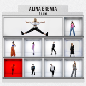 3 luni - Alina Eremia