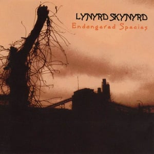 All I Have is A Song - Lynyrd Skynyrd