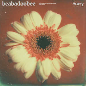 Sorry - ​beabadoobee