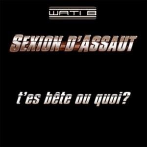 T’es bête ou quoi ? - Sexion d'Assaut