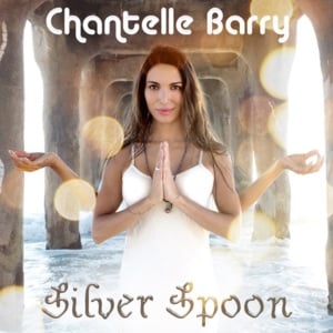 Silver Spoon - Chantelle Barry