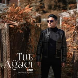 Tut Ağacı - Zaur Əmiraslanov