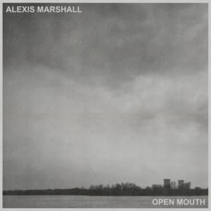 Open Mouth - Alexis Marshall