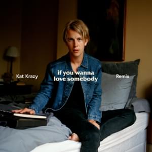 If You Wanna Love Somebody (Kat Krazy Remix) - Tom Odell (Ft. Kat Krazy)