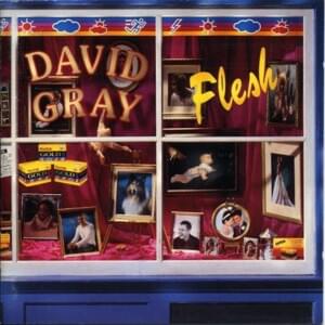 Mystery of Love - David Gray