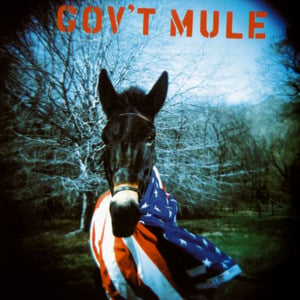 Painted Silver Light - Gov't Mule