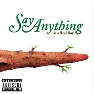 The Writhing South - Say Anything