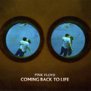 Coming Back to Life - Pink Floyd