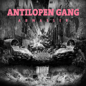 Insolvenzverwalter - Antilopen Gang