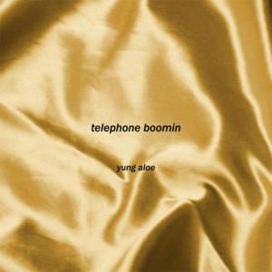 Telephone Boomin - ​​​​​​nascar aloe