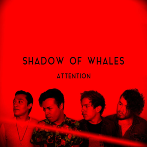 Attention - Shadow of Whales