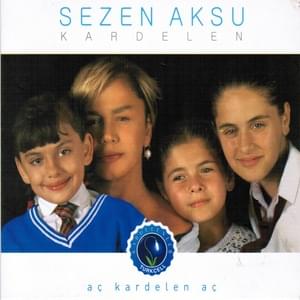 Gidemem - Sezen Aksu