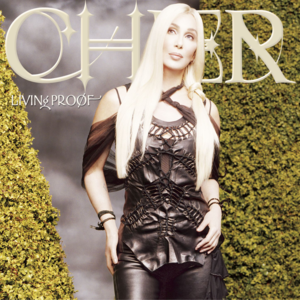 Love Is a Lonely Place Without You - Cher