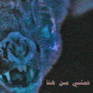 Tiger - تايجر - Abyusif - أبيوسف