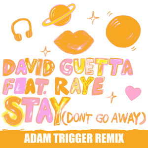 Stay (Don’t Go Away) [Adam Trigger Remix] - David Guetta (Ft. RAYE)