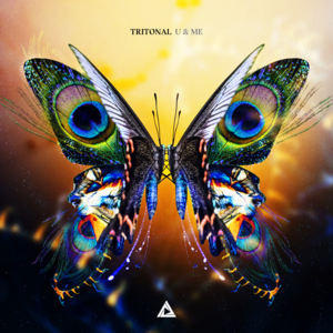 Medicine - Tritonal & LEVV