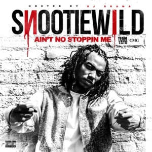 12 - Snootie Wild (Ft. DJ Drama & Yo Gotti)