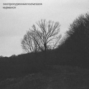 Мурманск (Murmansk) - эхопрокуренныхподъездов (ekhoprokurennykhpod`yezdov)