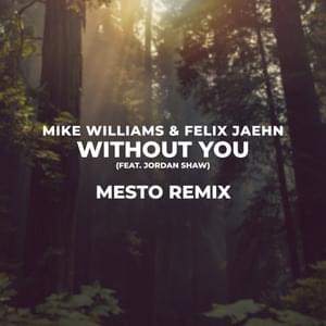 Without You (Mesto Remix) - Mike Williams & Felix Jaehn (Ft. Jordan Shaw)