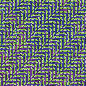 Lion in a Coma - Animal Collective