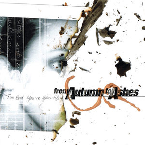 Reflections - From Autumn to Ashes