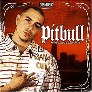 Crank Up Da Dunk - Pitbull (Ft. The Lost Tribe)