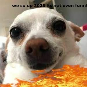 ​me ## 2023 - ​dogefan26