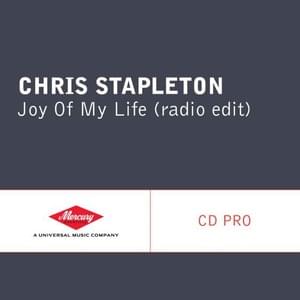 Joy of My Life - Chris Stapleton