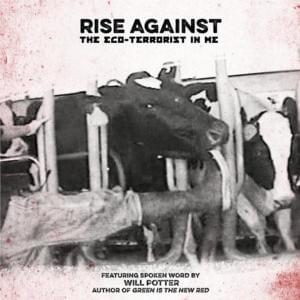 About Damn Time - Rise Against