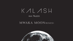 Mwaka Moon RMX - Nuzzo (Ft. Kalash & Sfera Ebbasta)