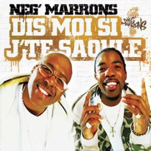 Dis moi si j’te saoule - Neg' Marrons