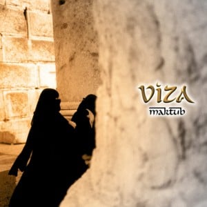 In Coins - Viza