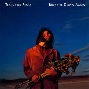 Break It Down Again - Tears for Fears