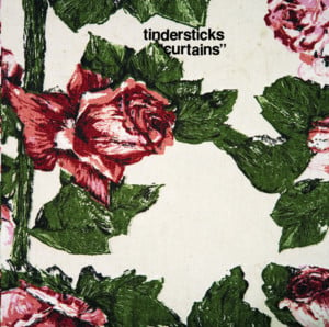 Shadow - Tindersticks