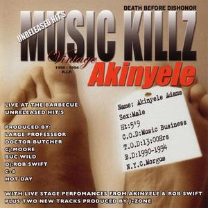 Stay Wild - Akinyele